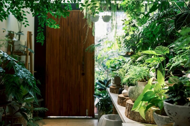 走進台中植栽選物店「花間散步」，從侘寂風到網美風，掌握植栽搭配關鍵，打造最適綠意空間